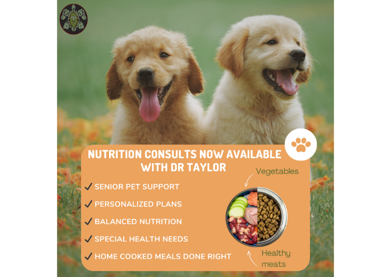 Carousel Slide 6: Want to home cook for your pet but not sure where to start? Nutrition Consults with Dr Taylor can help!