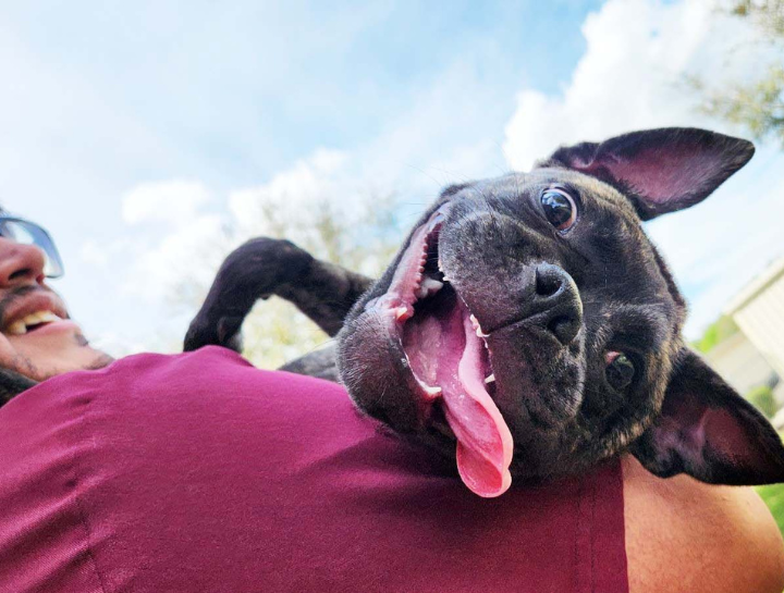 $city Vet Exams