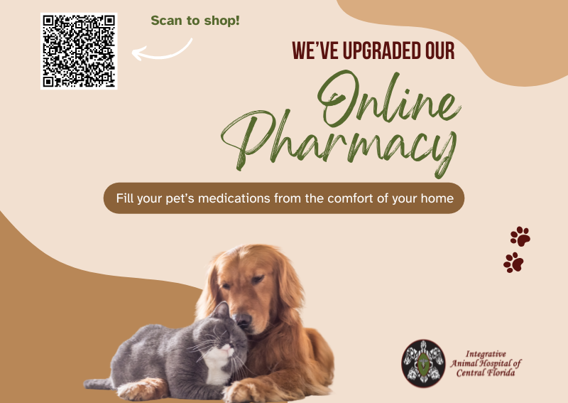 Carousel Slide 6: Online Pharmacy