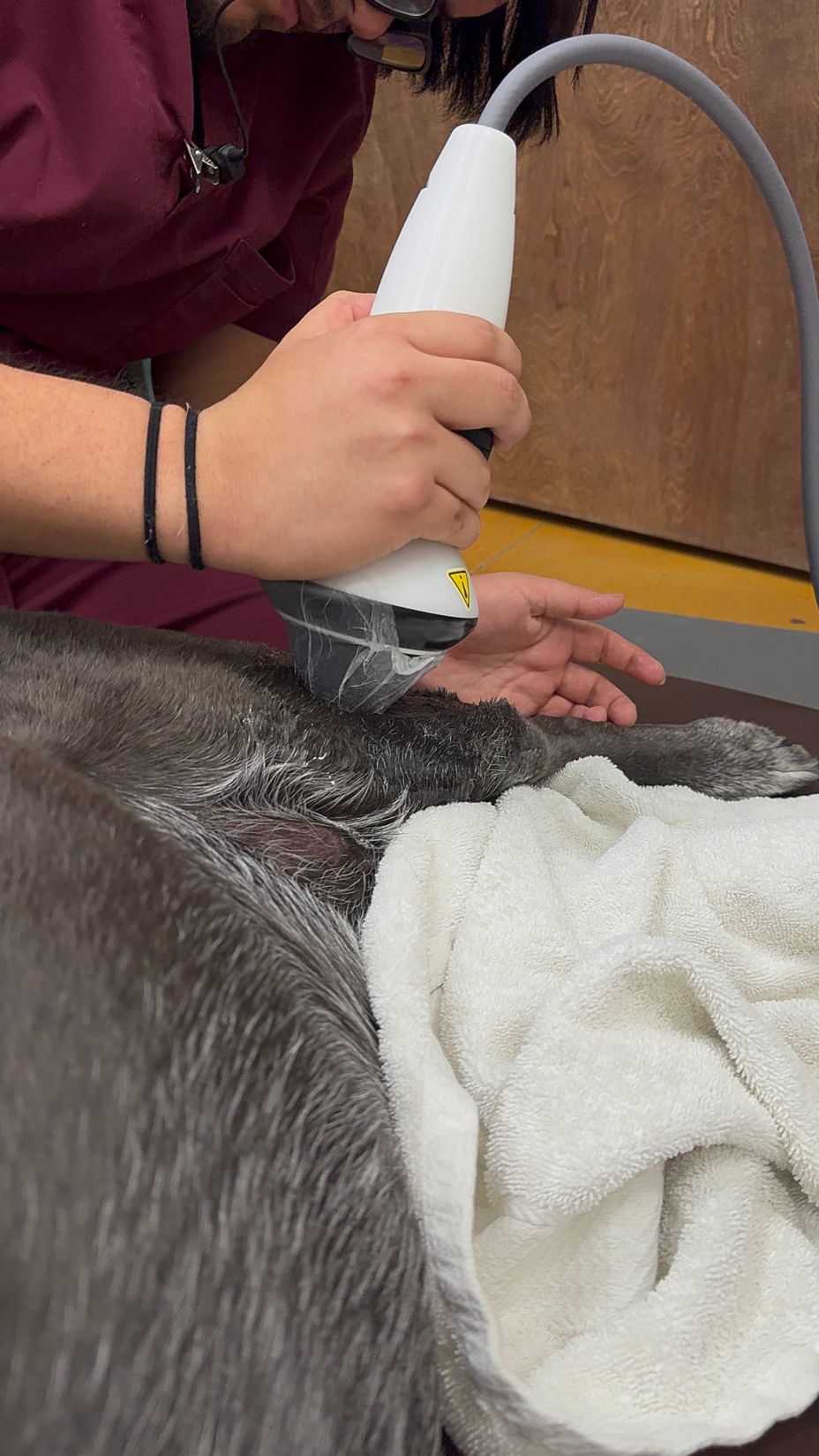Soundwave therapy
